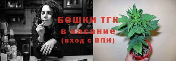 стаф Абаза