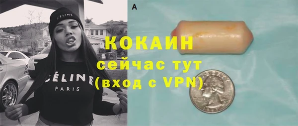 стаф Абаза
