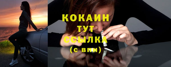 стаф Абаза