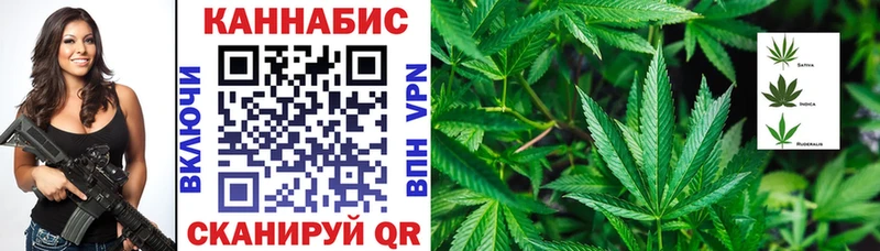 Марихуана сатива  Дербент 